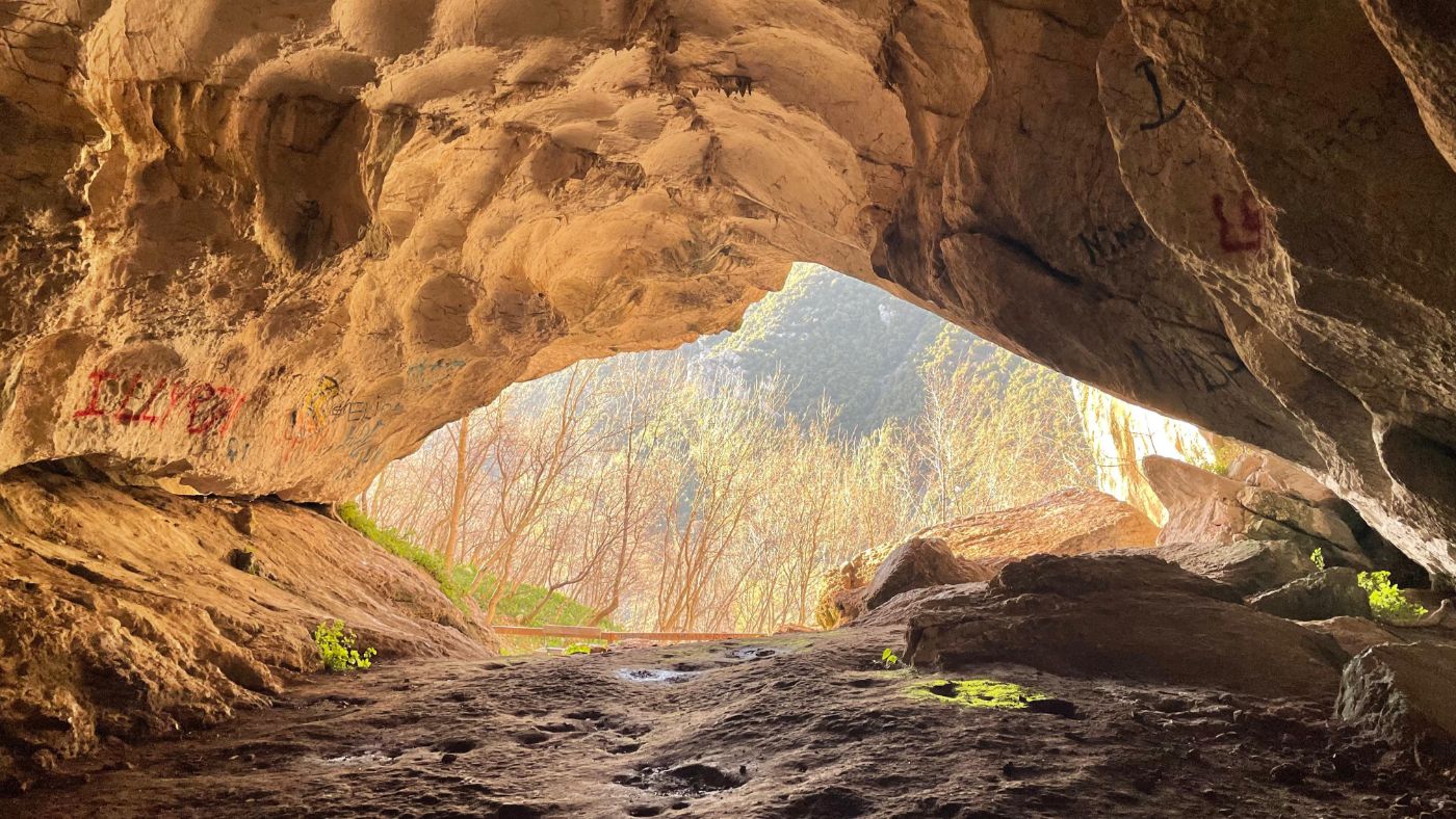 View out of a cave entrance