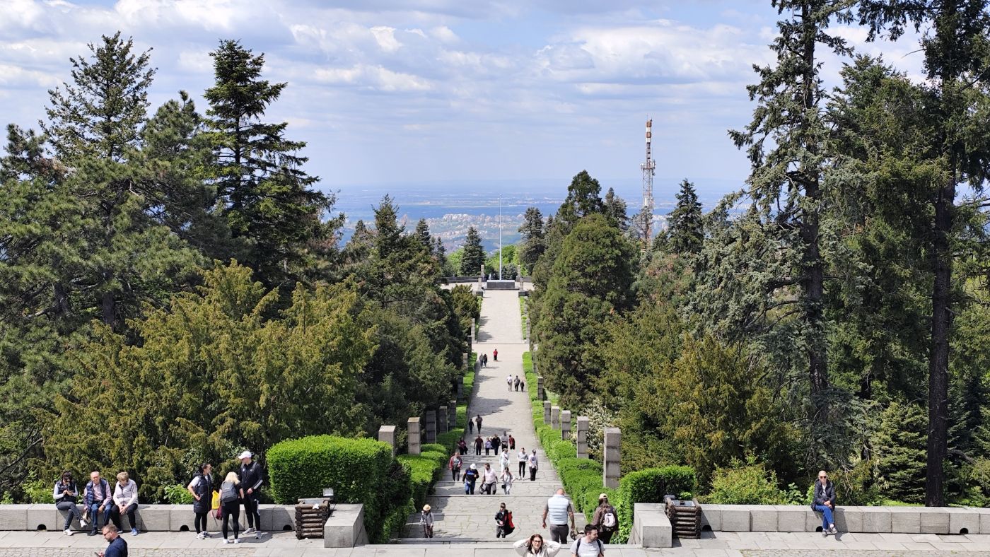 A long stone avenue between conifers
