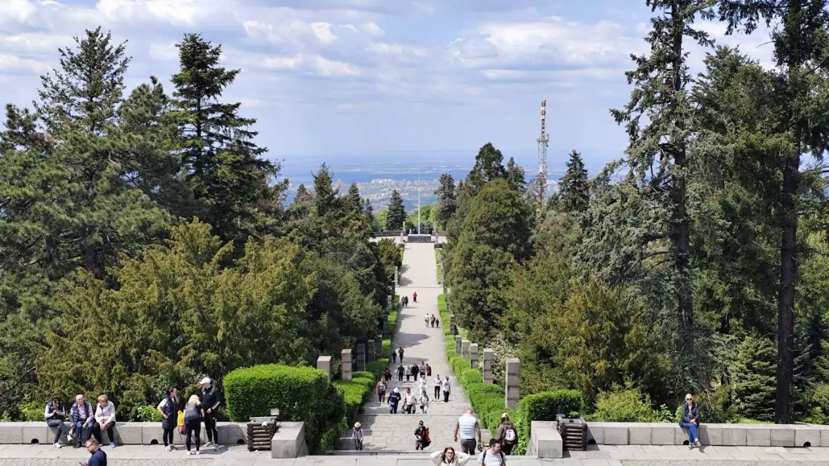 A long stone avenue between conifers