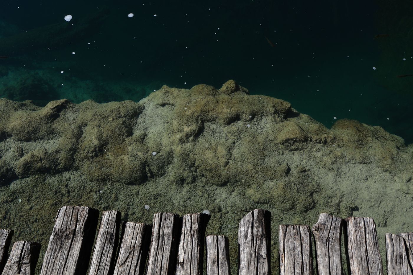 Wooden boardwalk over clear green water