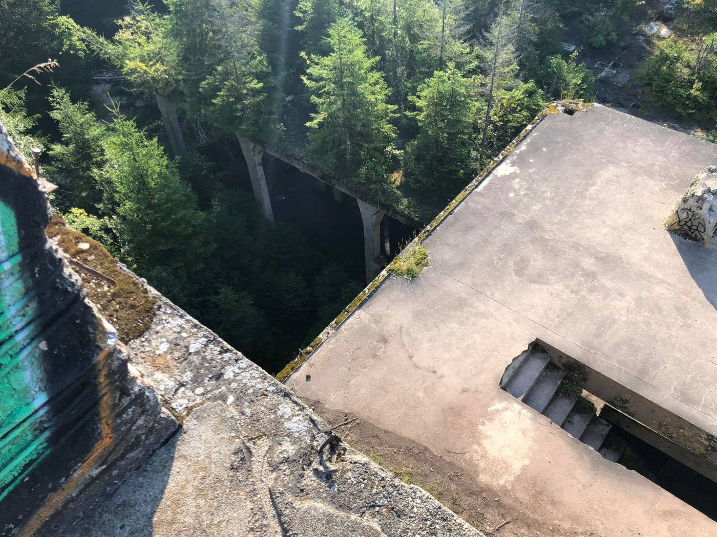 A concrete ruin overgrown by forest, seen from above