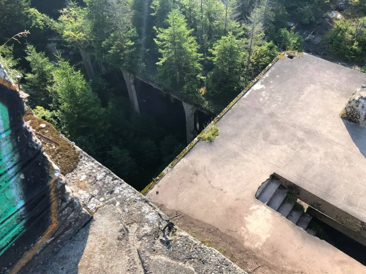 A concrete ruin overgrown by forest, seen from above