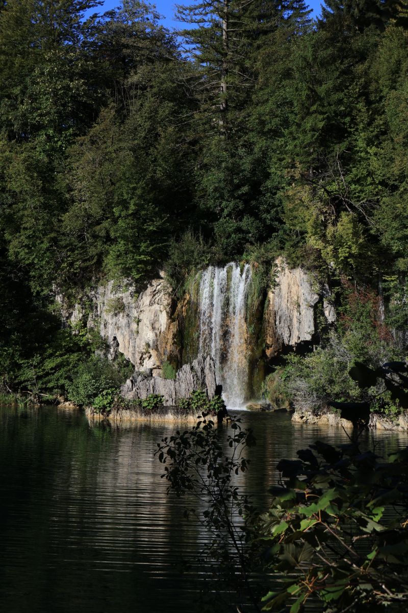 A waterfall in a green forest